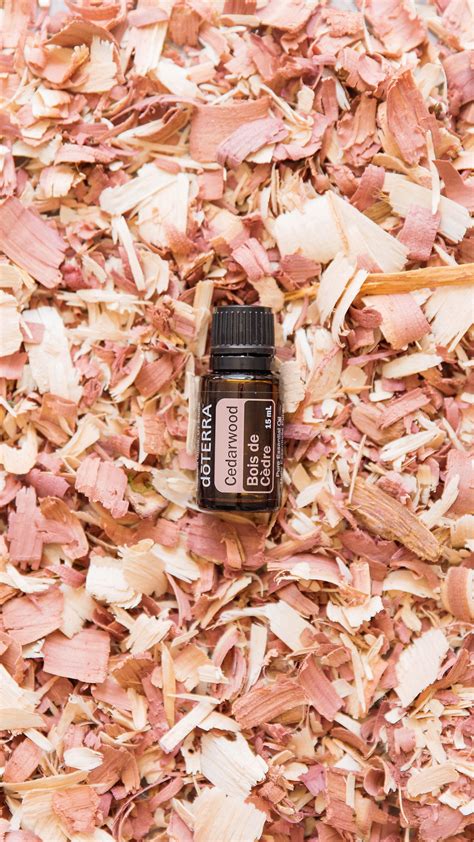 Myrrh oil uses and benefits – Artofit