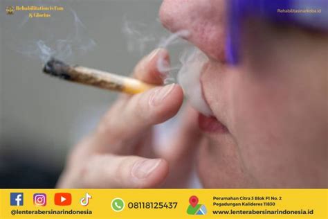 Nikotin: Pengertian, Manfaat, hingga Kadar Kandungannya di Rokok ...