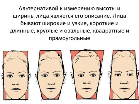 Антропометрические измерения лица и головы - презентация онлайн