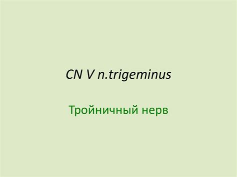 Презентация1 - online presentation