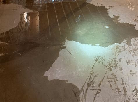 Water Seeping Up Through Basement Floor – Flooring Tips