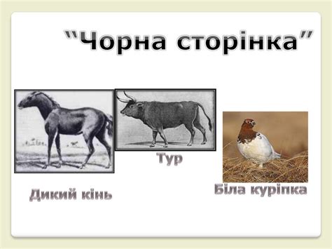 Презентація ."Червона книга України"