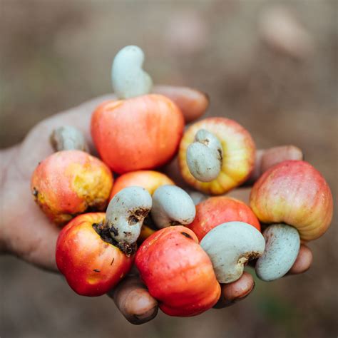 Pecan nuts aldi prices have dropped just in time for baking 4