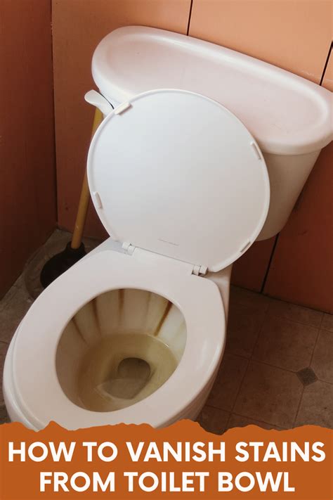 Cleaning your toilet bowl tough stains with bleach natural toilet bowl ...