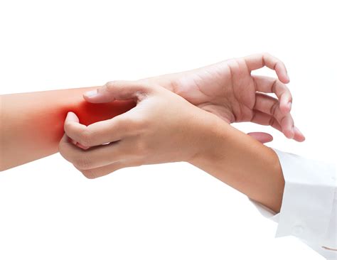 Are Mosquitoes Attracted to You? | Mosquito Facts You Should Know