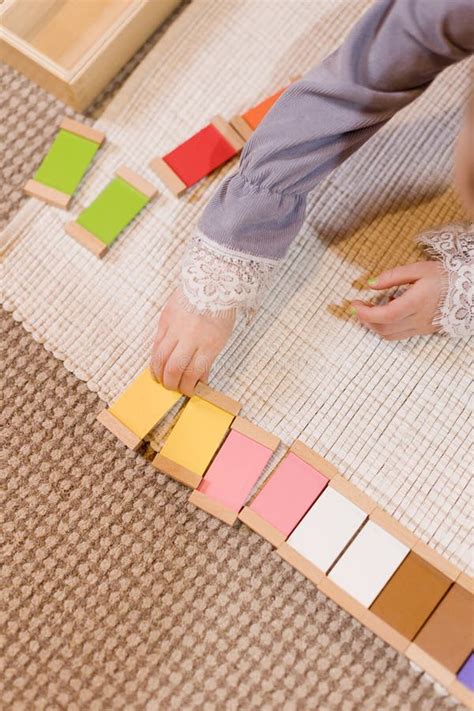 child sorting colorful wooden blocks stock image image  sorting