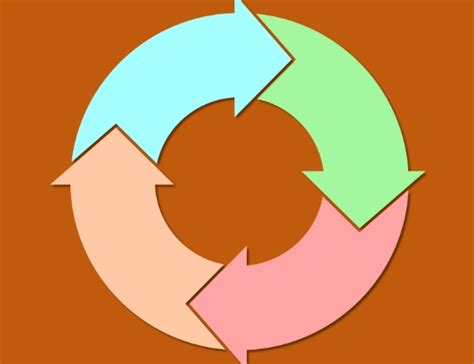 Mokrica translation process
