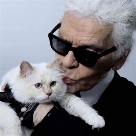 Karl Lagerfeld's Daily Routine Quotes | POPSUGAR Fashion