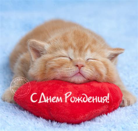 Картинки С Днем Рождения Котики