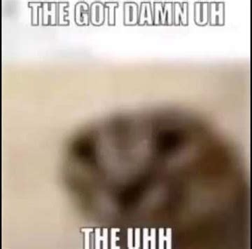 damn  uh  uhhh blank template imgflip