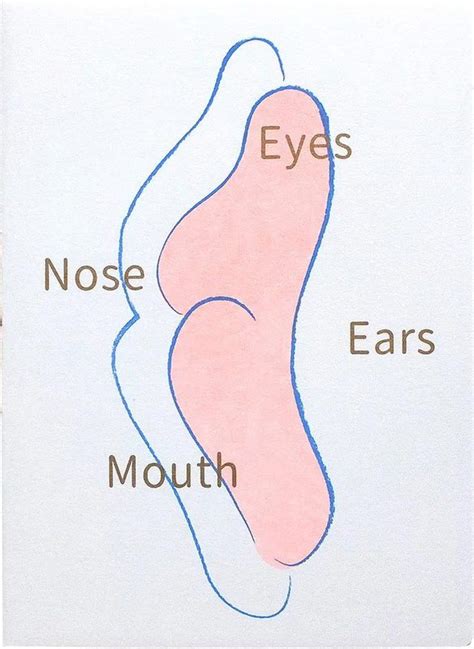 Eyes Ears Mouth Nose - Ling Yu Tai | moom bookshop - photobooks and ...