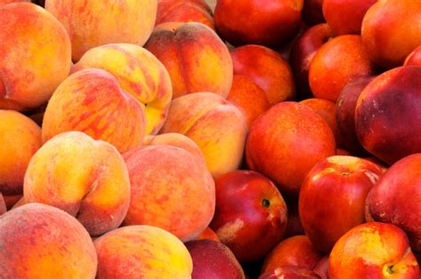 Экспорт персика и нектарина из Грузии вырос на 6% • EastFruit