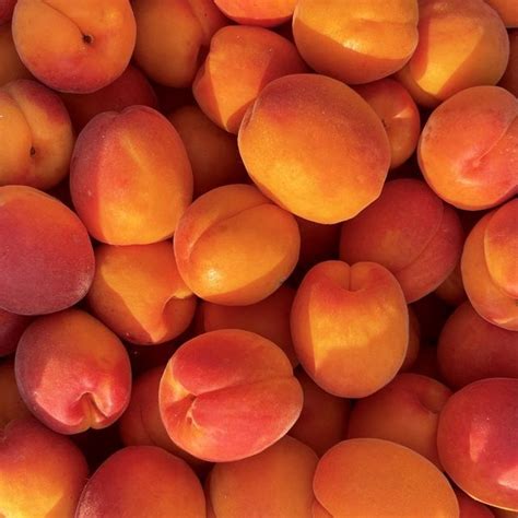 "Свіжа пошта" від Олексія - доставка продуктів