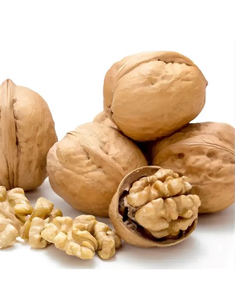 High Protein Walnuts With Shell Pakistan
