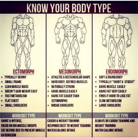 endomorph on Tumblr