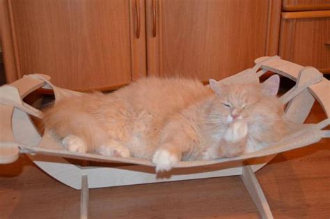 Деревянный гамак для животных | Кошачий гамак, Животные, Гамак