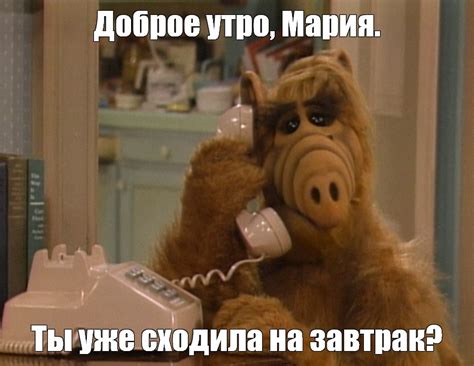 Мем: "Доброе утро, Мария. Ты уже сходила на завтрак?" - Все шаблоны ...