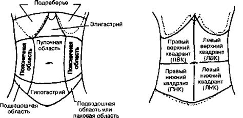 Брюшная полость - Секреты клинической диагностики - Медицинская учебная ...