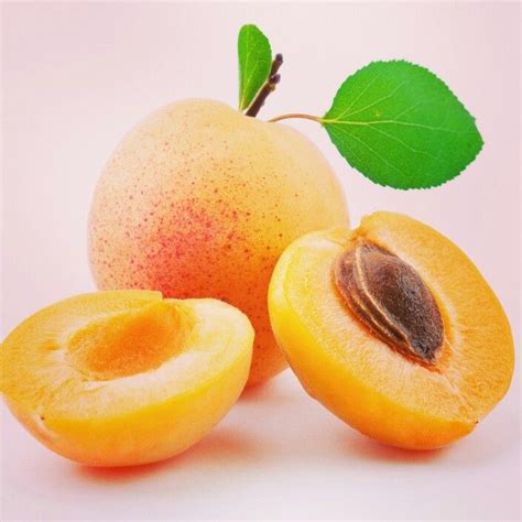 kayisi faydalari httpwwwsifalibitkitedavisicom apricot fruit