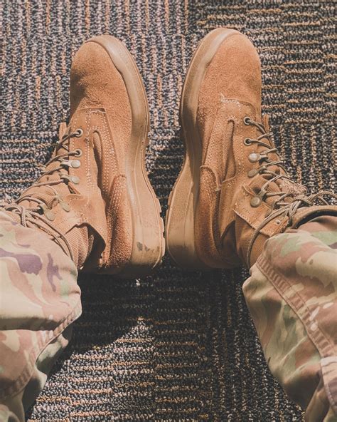 War Hamster - War Hamster added a new photo.