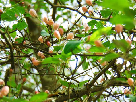 Veenacos - Messed around outside and took photos instead...