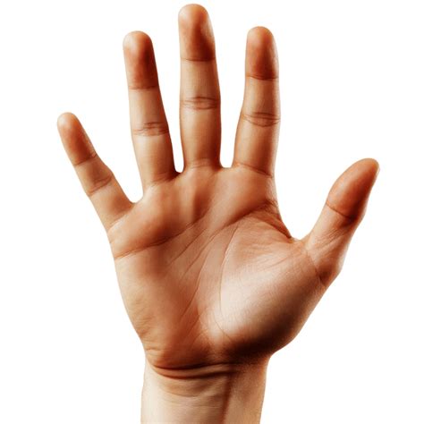 hand silhouette pngs