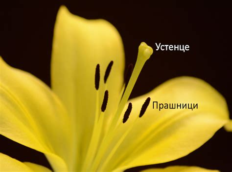 Наука за деца