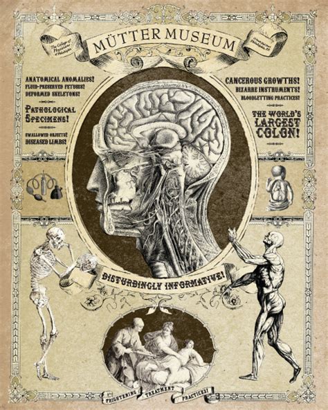 Mutter Museum on Behance