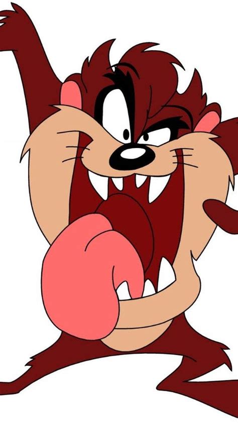 Tasmanian Devil Looney Tunes Wallpaper