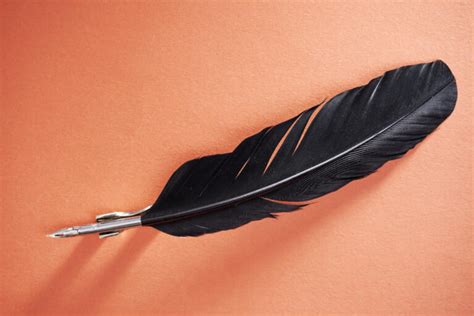 Finding a Black Feather Spiritual Meaning: 9 Signs