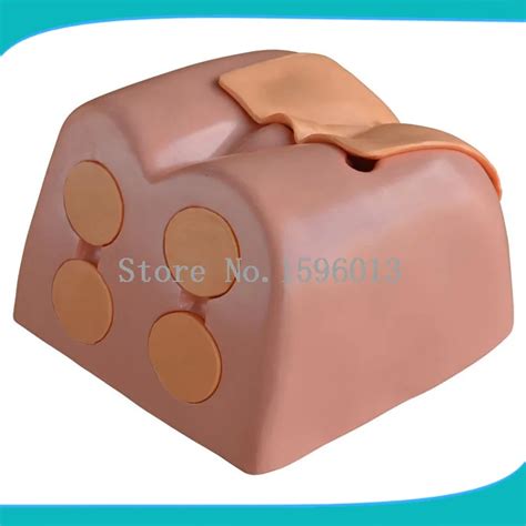 Prostate Examination Simulator-in Medical Science from Office & School ...