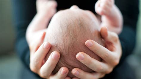 malaysia examines risk  mortality  babies  birth defects