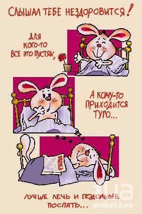 Приколи - картинки, відео приколи, смішні історії та анекдоти