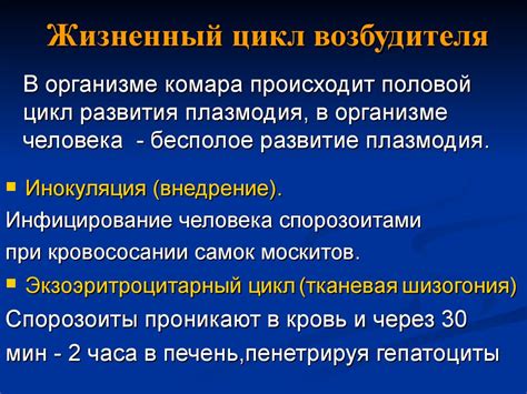 Малярия - презентация онлайн