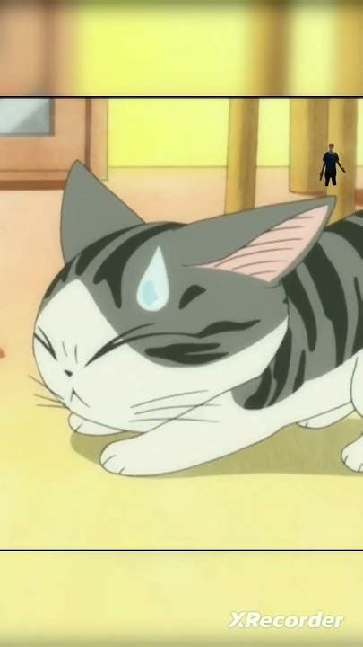 наглый чорный кот #аниме #anime - YouTube