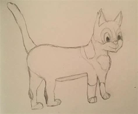 Cat vector illustrations to be animated on Behance