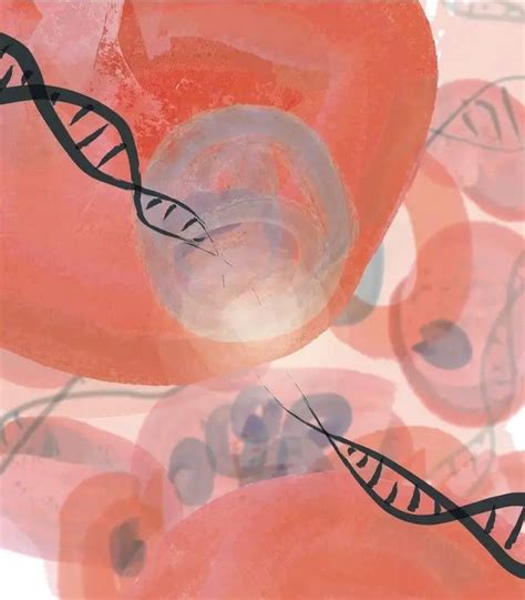 RNA: Structure, Types and Function