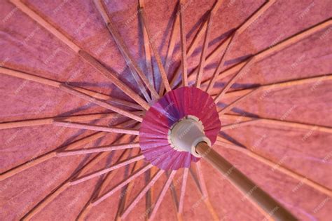 Free Photo | Traditional japanese wagasa umbrella background