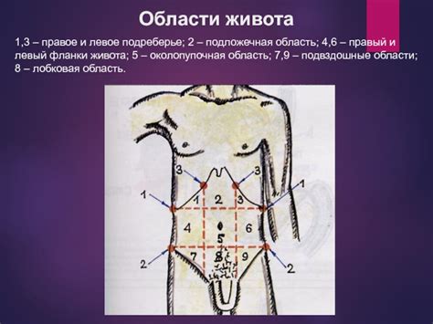 Расспрос и осмотр больных с заболеванием органов пищеварения. Перкуссия ...