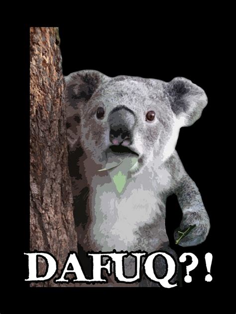 "Surprised Koala Meme " Art Print by HeadOut | Redbubble