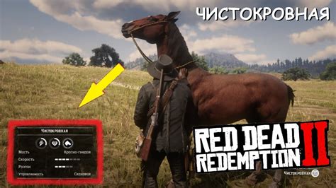 Где НАЙТИ самую РЕДКУЮ ЧИСТОКРОВНУЮ лошадь в Red Dead Redemption 2 ...