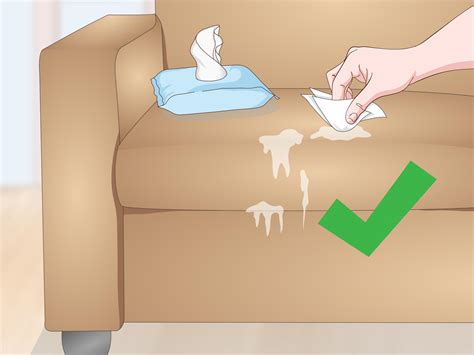 How to Remove Dog Saliva Stains (with Pictures)