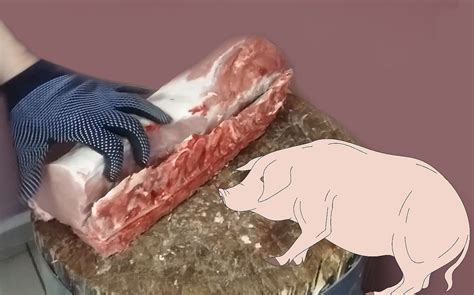 Что готовить из свинины
