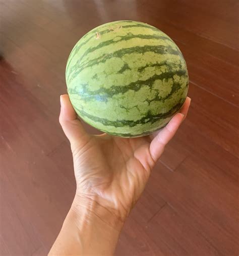 How many calories in this mini watermelon? It’s like the size of a