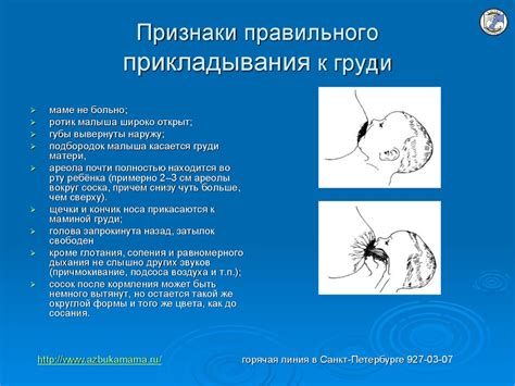 Основы успешного грудного вскармливания - презентация онлайн
