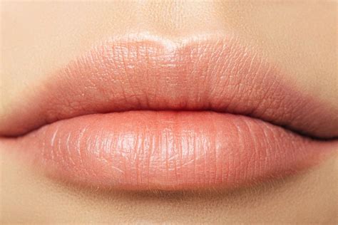 6 Youthful Lip's Tips: Shape of Lips Says About You - Life Simile