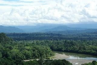 forest ecuadorian andes amazon rain english dallas