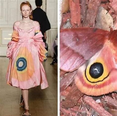 Пин от пользователя Lady Du на доске FasHion | Цветочные платья, Одежда ...