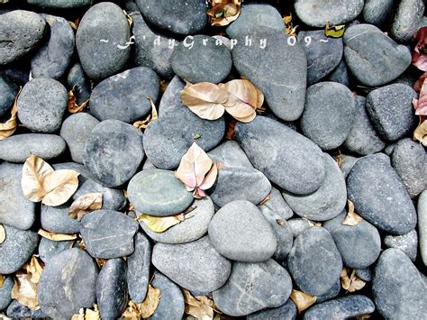 F'dyGraphy: Rocky Rocks