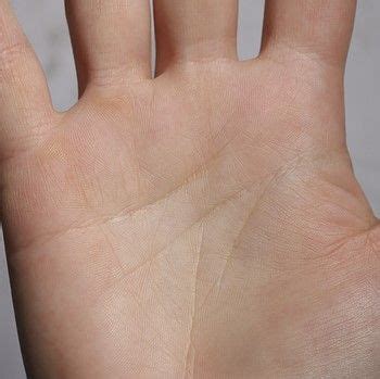 Что означает недлинная линия жизни? | Хиромантия, Астрология, Таро